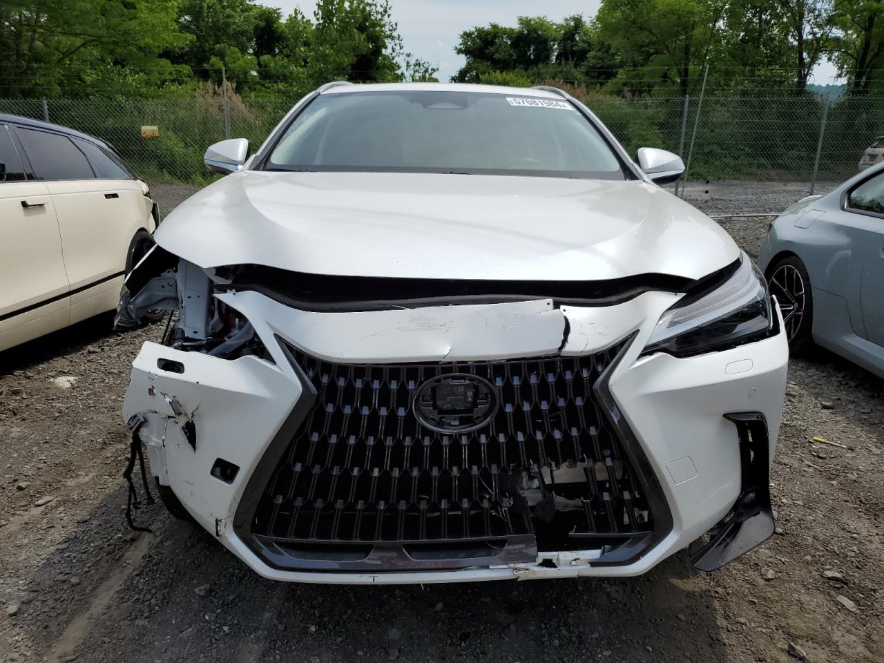 2023 LEXUS NX 450H VIN:JTJHKCFZ9P2019601