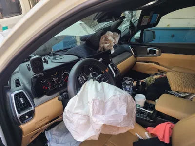 2021 Kia Sorento KNARL81BGMA039006 VIN:KNARL81BGMA039006