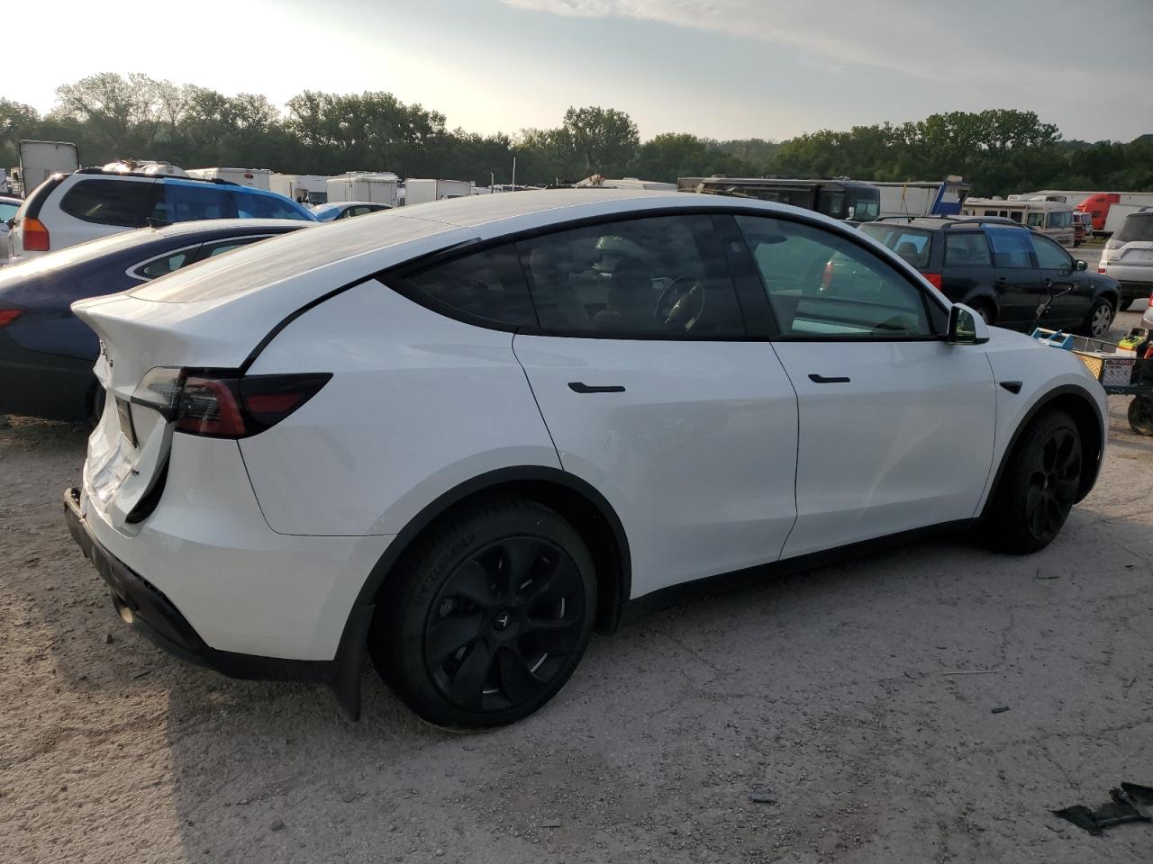 2023 TESLA MODEL Y  VIN:7SAYGDEE4PF810174