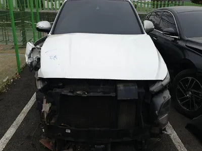 2019 Hyundai Santa FE KMHS581CDKU124309 VIN:KMHS581CDKU124309