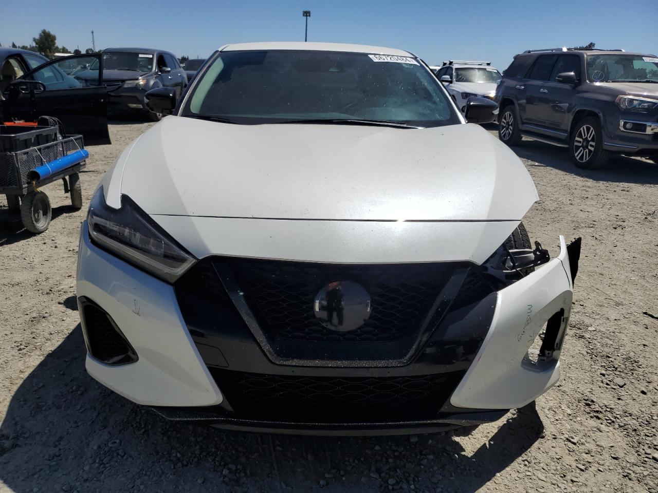 2022 NISSAN MAXIMA SV VIN:1N4AA6CV1NC502281