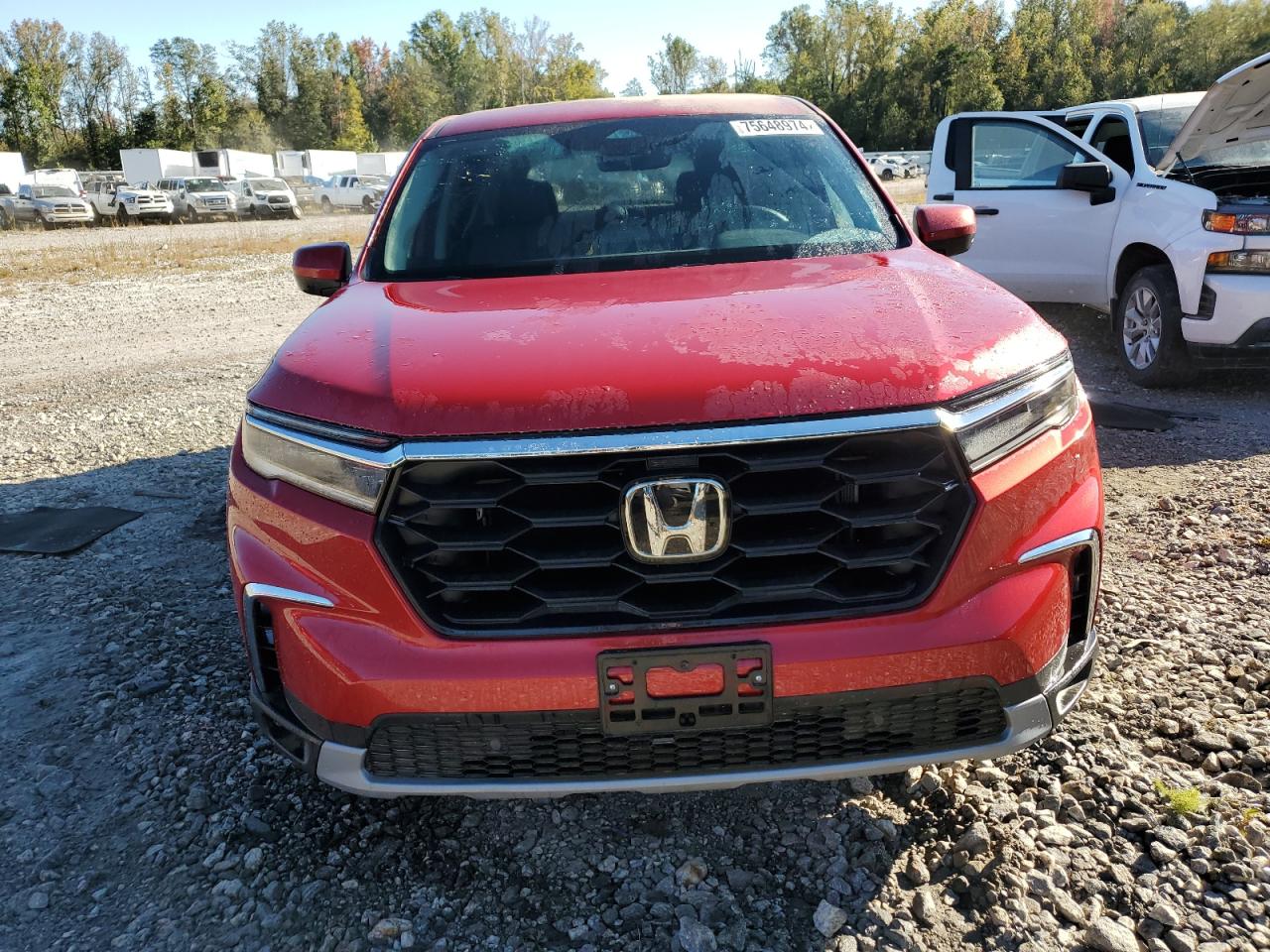 2023 HONDA PILOT EXL VIN:5FNYG2H57PB006870