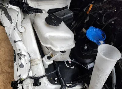 2020 Kia Sorento KNAPH81BBLA584791 VIN:KNAPH81BBLA584791