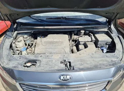 2015 Kia Carnival KNAMC81ABGS101990 VIN:KNAMC81ABGS101990