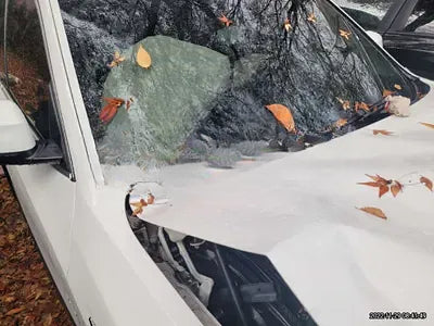 2015 BMW 320 WBAWZ5102F0L02794 VIN:WBAWZ5102F0L02794