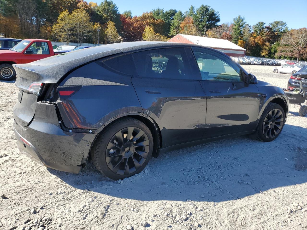 2024 TESLA MODEL Y  VIN:7SAYGDED2RF018759