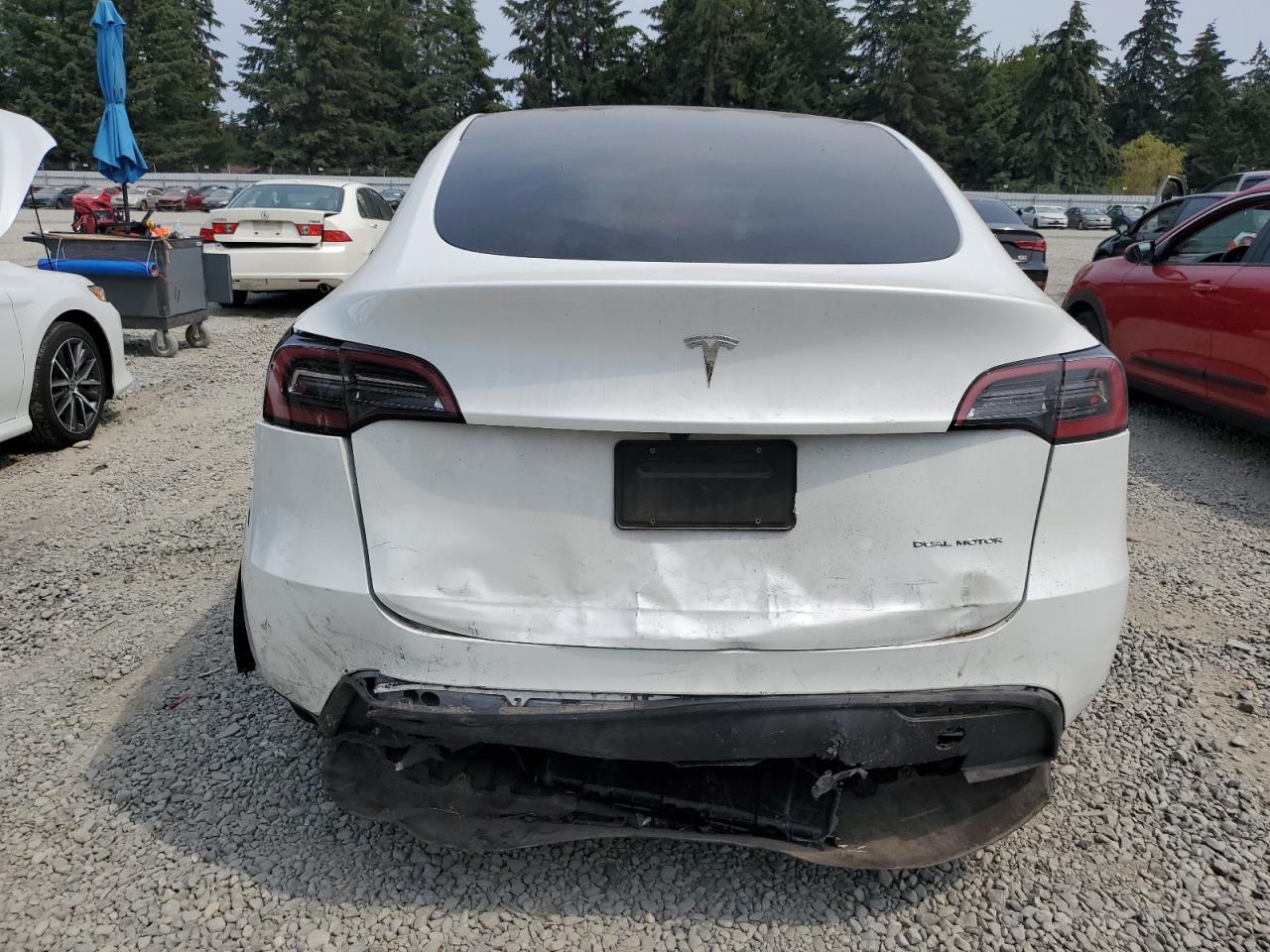 2023 TESLA MODEL Y  VIN:7SAYGDEE9PF910951