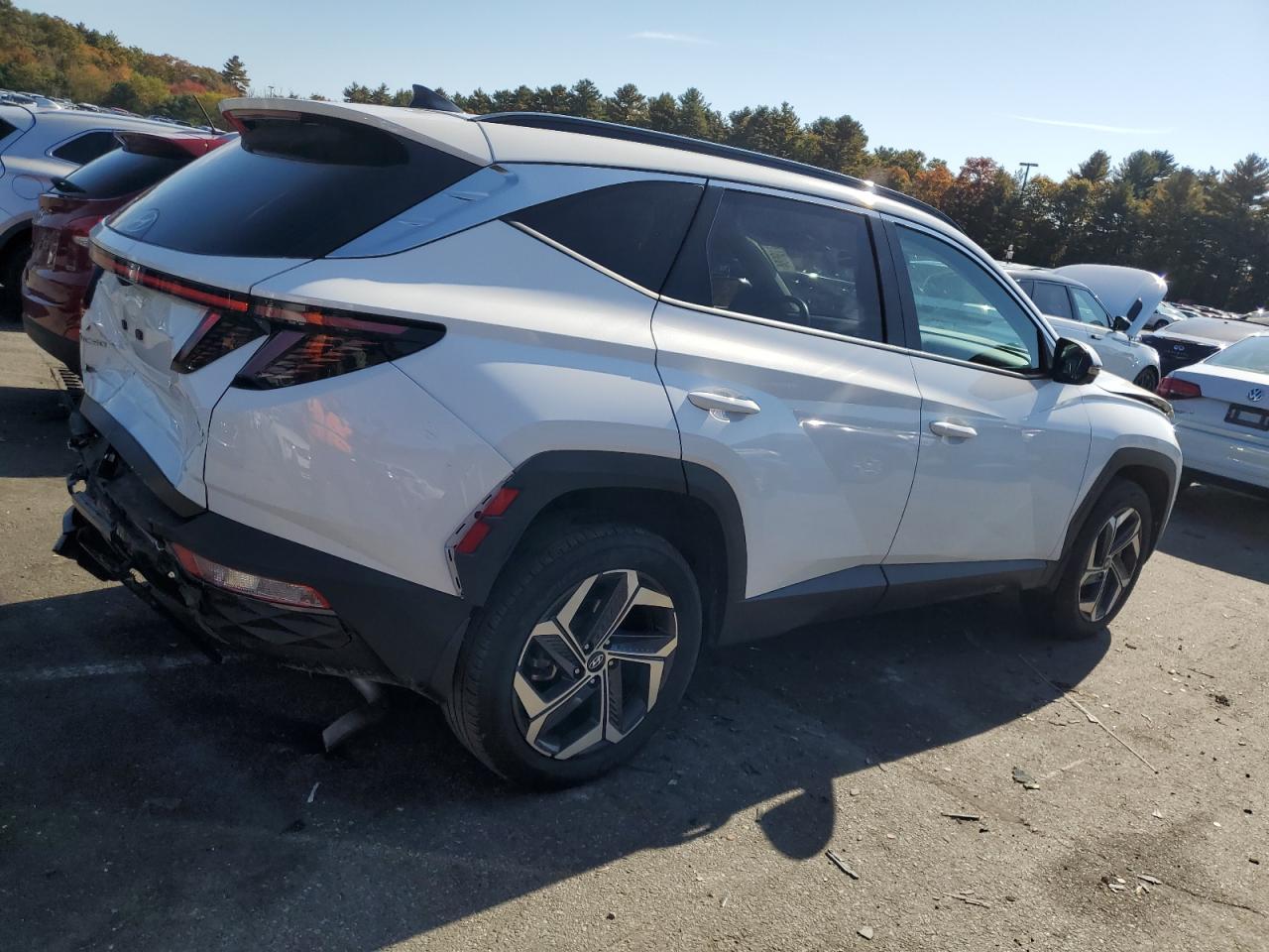 2023 HYUNDAI TUCSON LIMITED VIN:5NMJECAE8PH189928