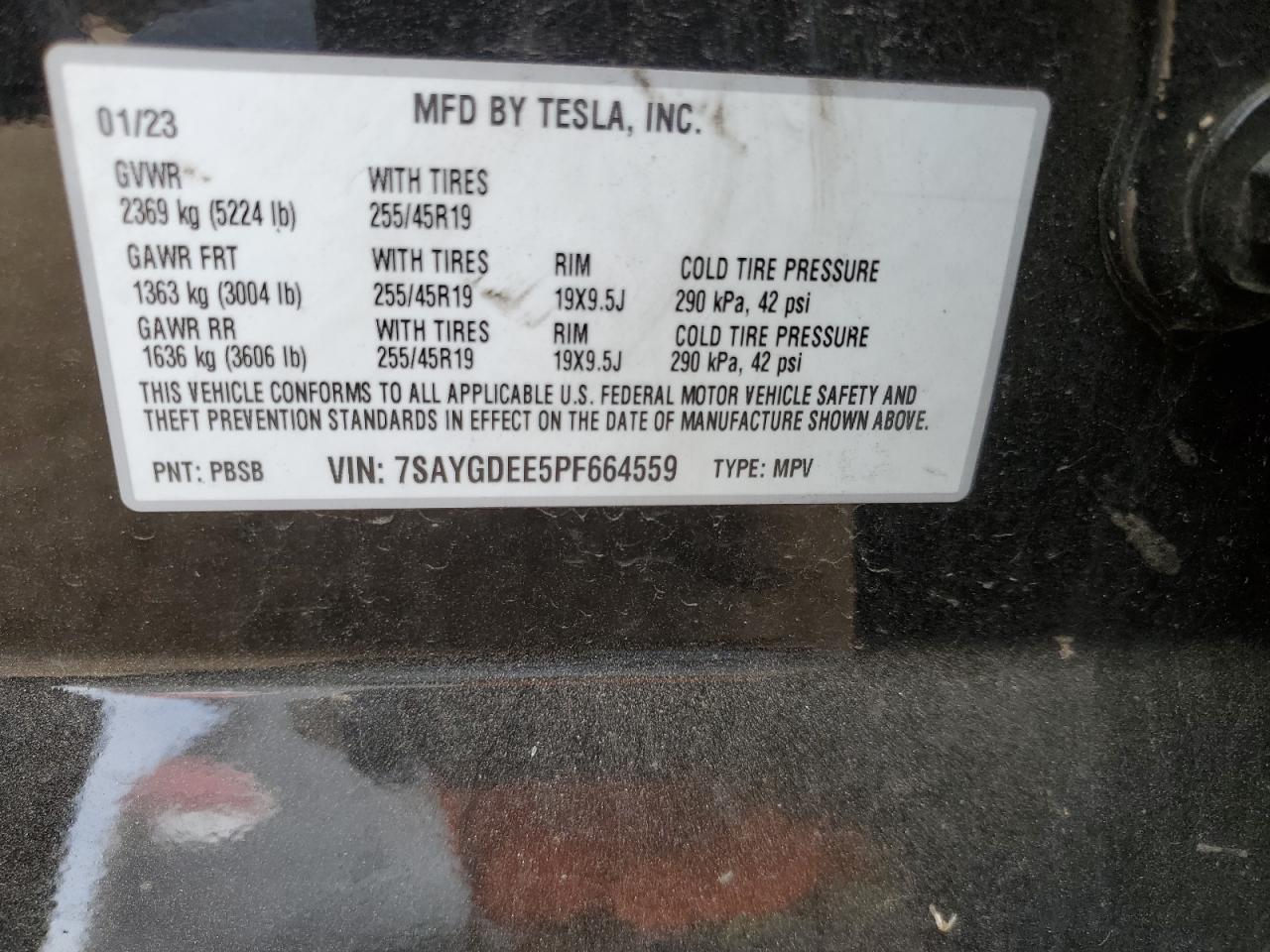 2023 TESLA MODEL Y  VIN:7SAYGDEE5PF664559