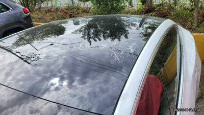2020 Tesla Model 3 5YJ3E1EB0LF725098 VIN:5YJ3E1EB0LF725098