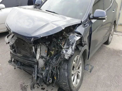 2015 Hyundai Santa FE KMHSW81XDFU418422 VIN:KMHSW81XDFU418422