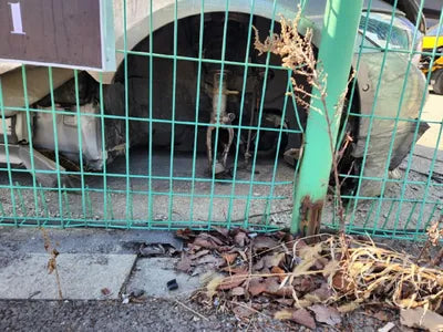 2019 BMW M5 WBSJF0105KBS91354 VIN:WBSJF0105KBS91354