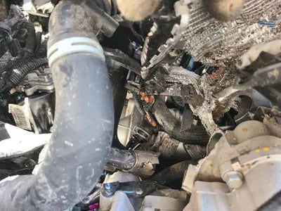 2021 Hyundai Santa FE KMHS281HGMU398339 VIN:KMHS281HGMU398339