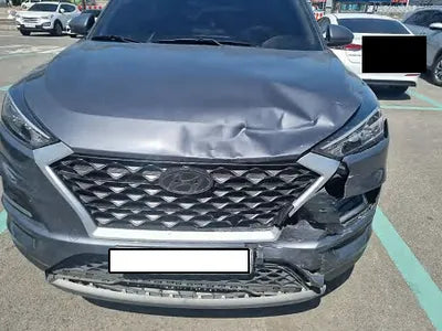 2019 Hyundai Tucson KMHJ381ABKU091955 VIN:KMHJ381ABKU091955