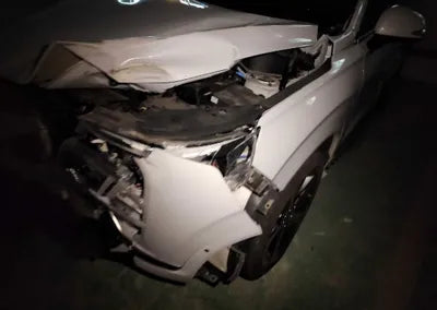 2021 Hyundai Santa FE KMHS581HGMU319867 VIN:KMHS581HGMU319867