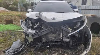 2021 Kia Carnival KNANB81BBMS026208 VIN:KNANB81BBMS026208