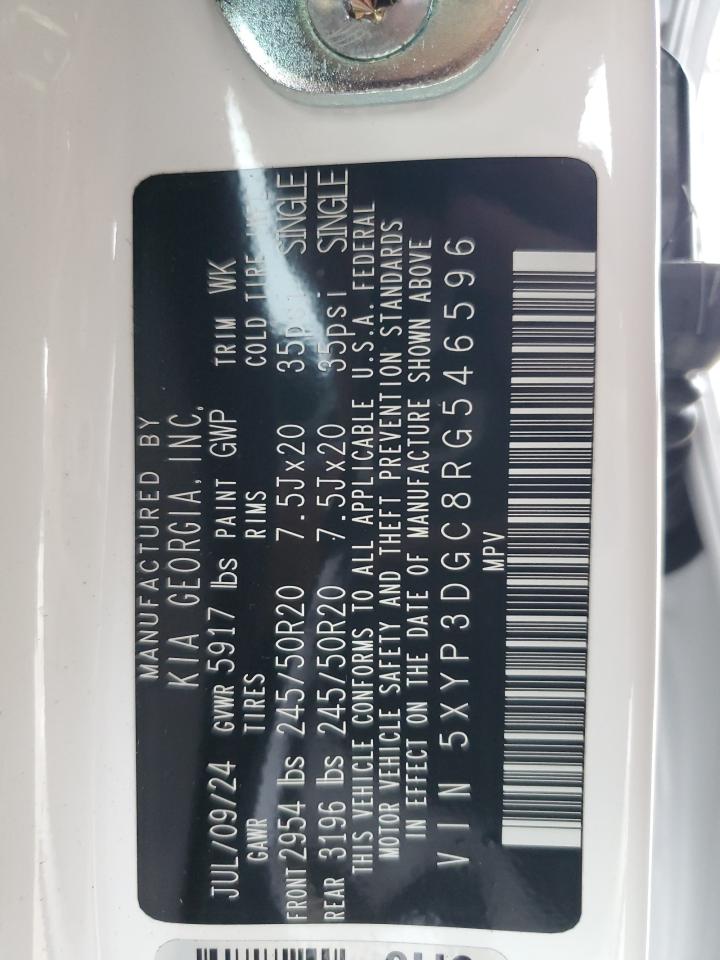 2024 KIA TELLURIDE EX VIN:5XYP3DGC8RG546596