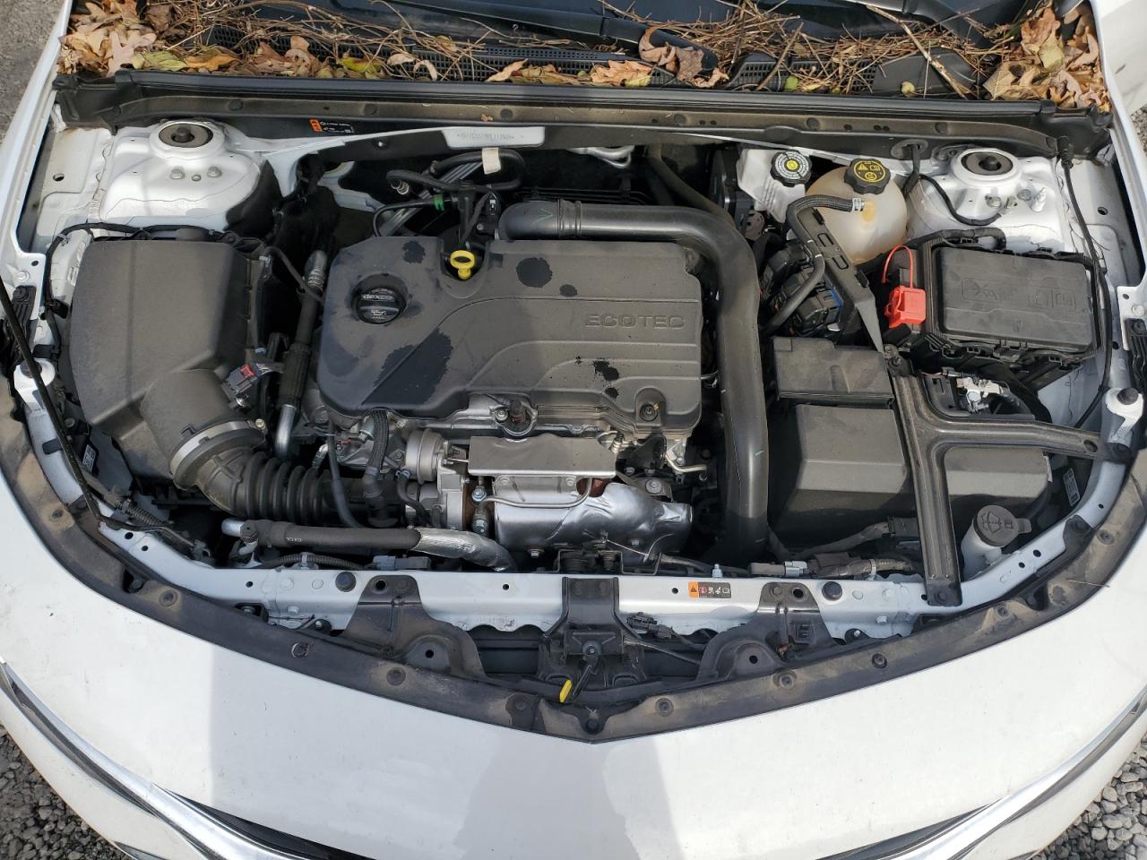 2023 CHEVROLET MALIBU LS VIN:1G1ZC5ST8PF113925