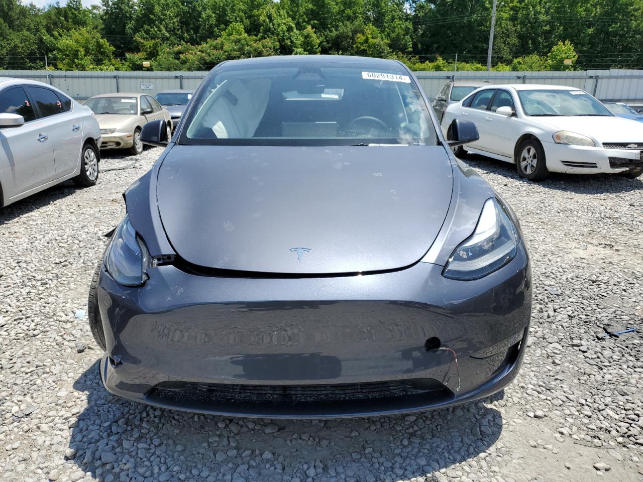 2023 TESLA MODEL Y  VIN:7SAYGDED9PF935176