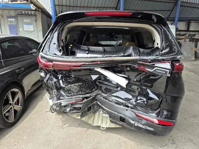 2023 Kia Carnival KNANE813BPS290791 VIN:KNANE813BPS290791