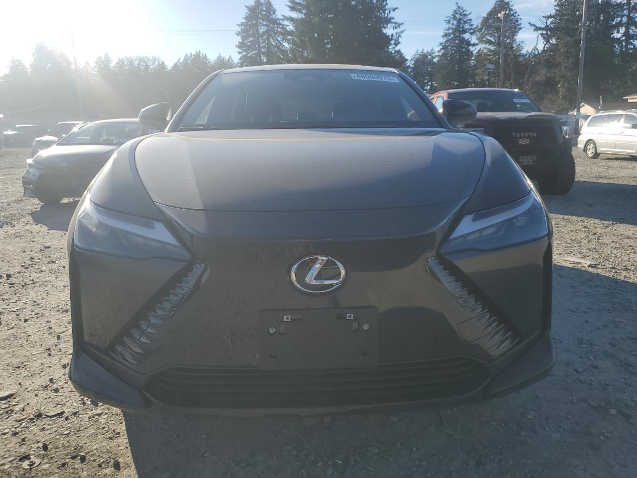 2024 LEXUS RZ 300E VIN:JTJABABB4RA007394