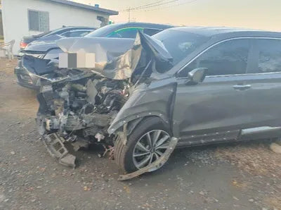 2019 Hyundai Santa FE VIN: