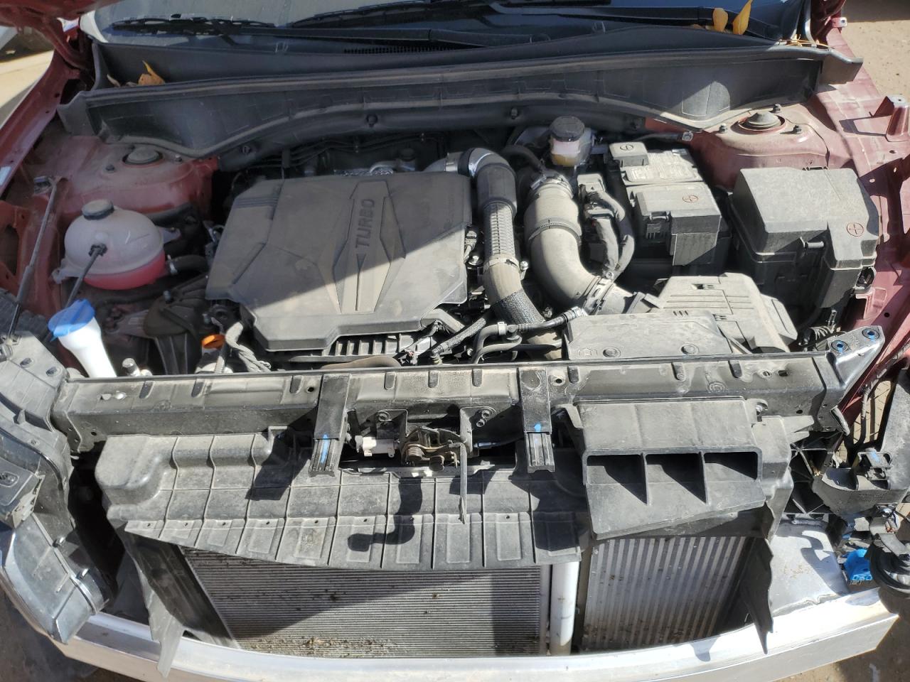 2023 KIA SORENTO SX VIN:5XYRKDLF1PG239344