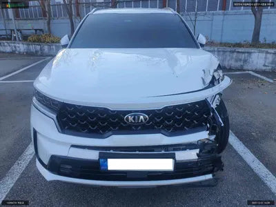 2020 Kia Sorento KNARM81BGMA049603 VIN:KNARM81BGMA049603