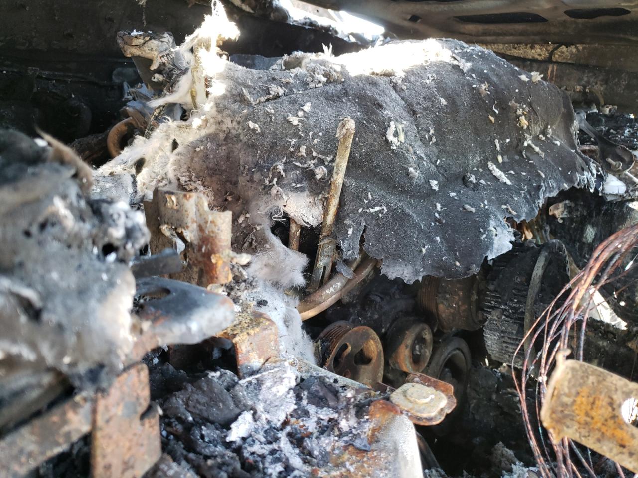 2022 TOYOTA 4RUNNER SR5 PREMIUM VIN:JTERU5JR0N6057448