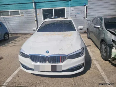 2019 BMW 520 WBAJK7107KGL29355 VIN:WBAJK7107KGL29355