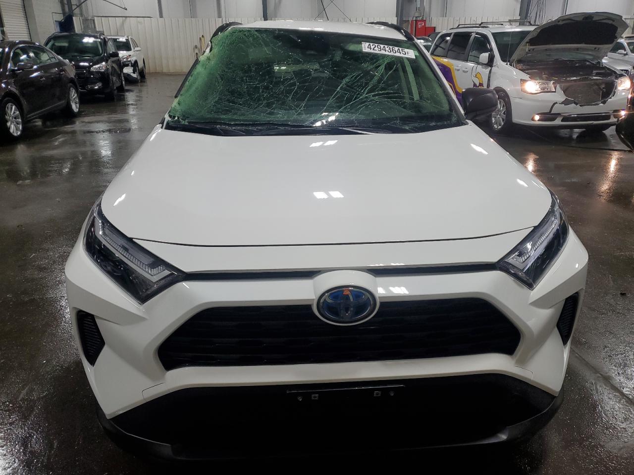 2024 TOYOTA RAV4 LE VIN:JTMLWRFV2RD269352