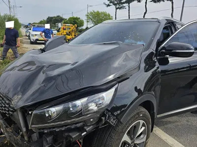 2018 Kia Sorento KNAPG81ABJA448574 VIN:KNAPG81ABJA448574