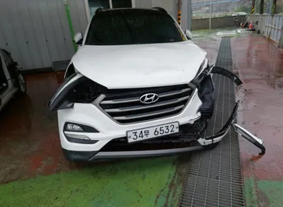 2016 Hyundai Tucson KMHJ381ABGU018429 VIN:KMHJ381ABGU018429