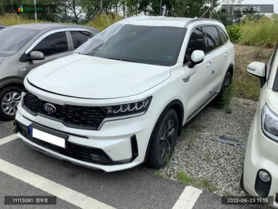 2020 Kia Sorento KNARH81GBMA020392 VIN:KNARH81GBMA020392