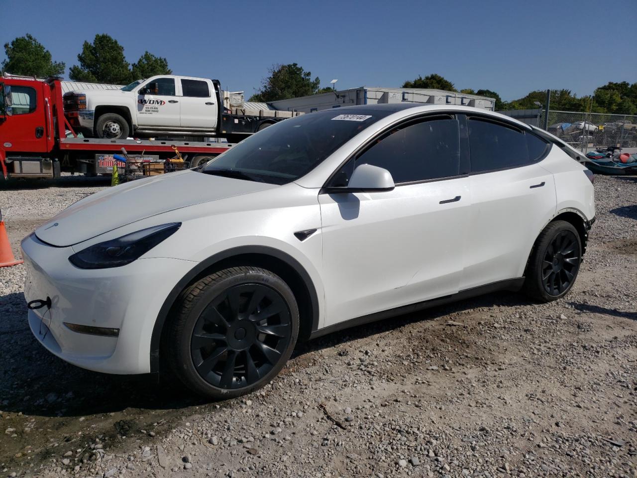 2023 TESLA MODEL Y  VIN:7SAYGAEE9PF626301