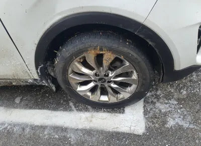 2019 Kia Sorento KNAPG81BBKA487503 VIN:KNAPG81BBKA487503