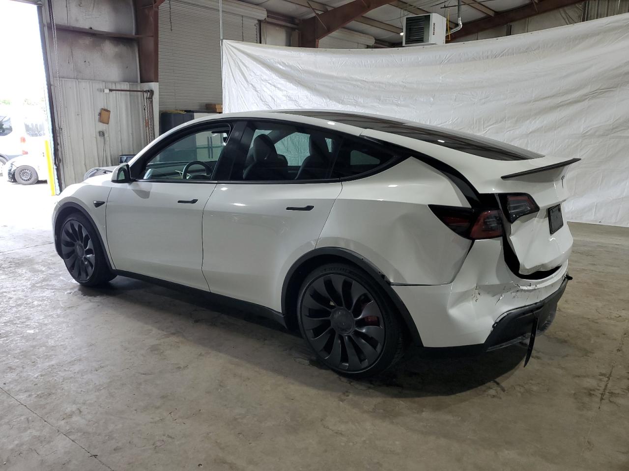 2023 TESLA MODEL Y  VIN:7SAYGDEF4PF788024