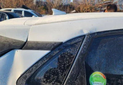 2020 Hyundai Kona KMHK381EGLU033434 VIN:KMHK381EGLU033434