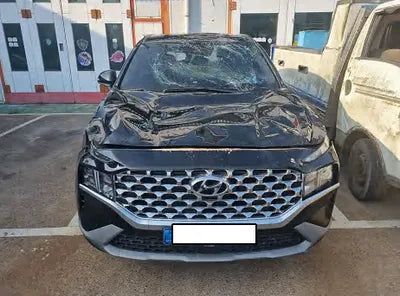2021 Hyundai Santa FE KMHS281HGMU323845 VIN:KMHS281HGMU323845