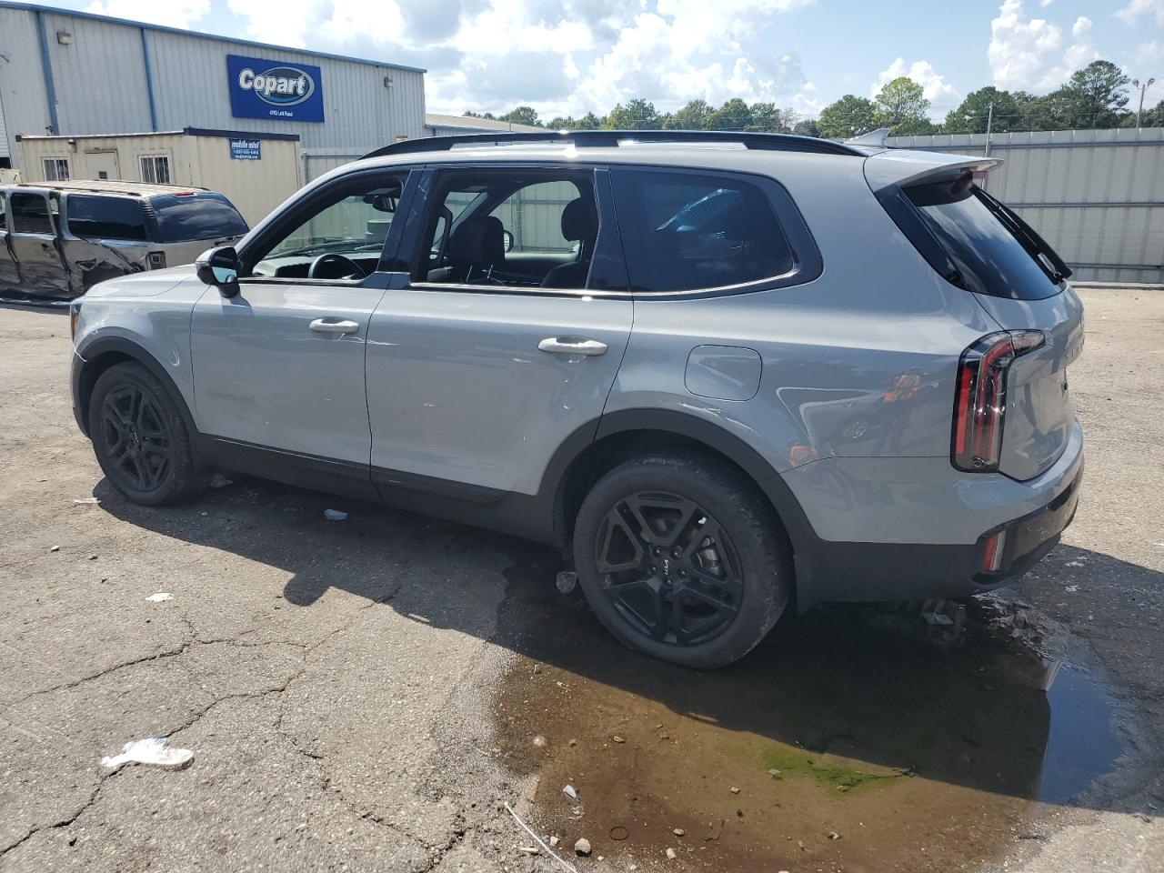 2024 KIA TELLURIDE SX VIN:5XYP5DGC9RG510927