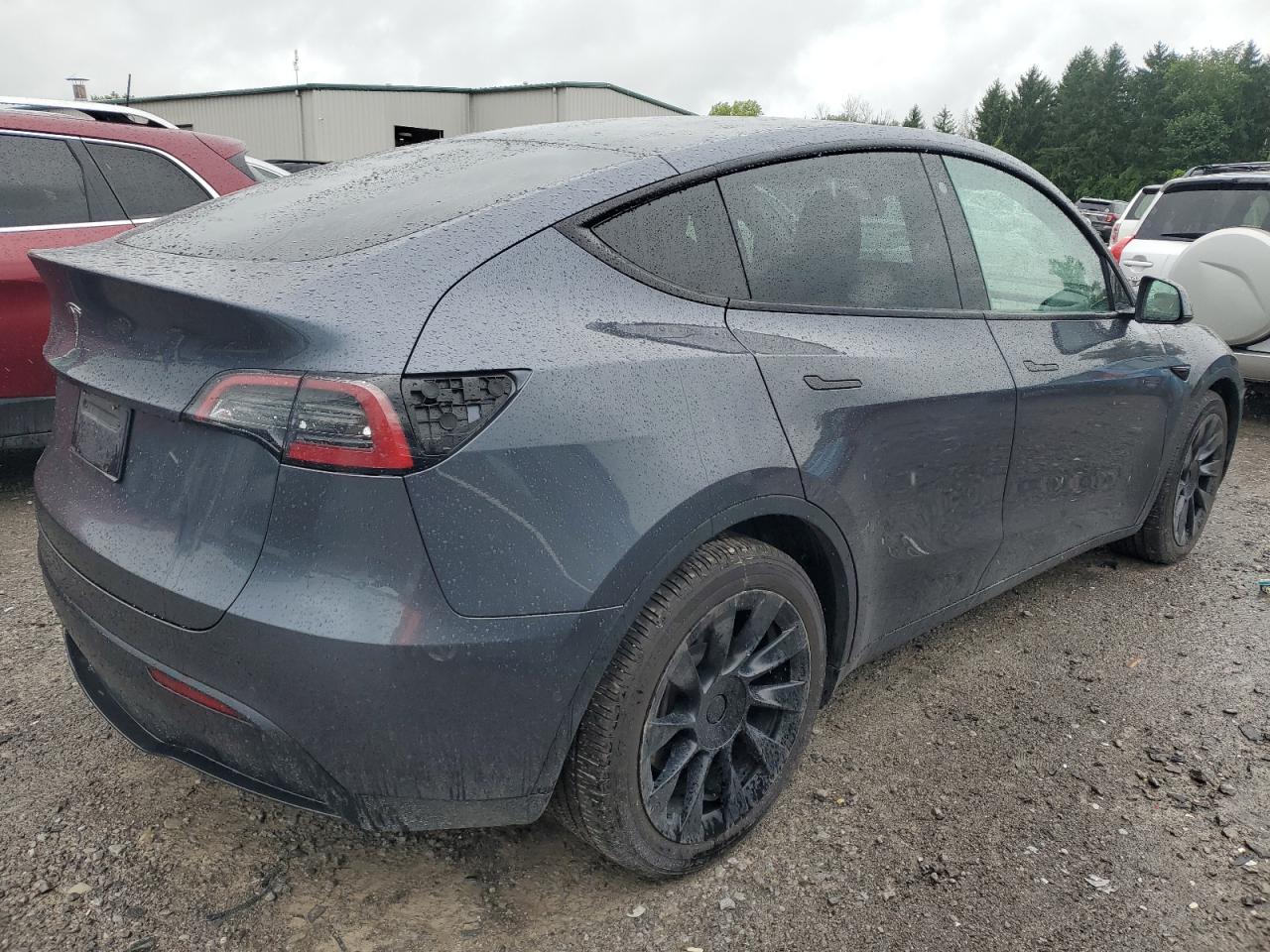 2022 TESLA MODEL Y  VIN:7SAYGDEE6NF387384