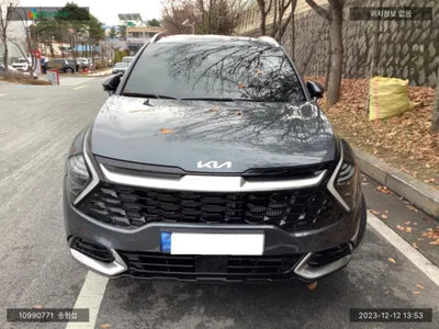 2022 Kia Sportage KNAPW81CBNK064176 VIN:KNAPW81CBNK064176