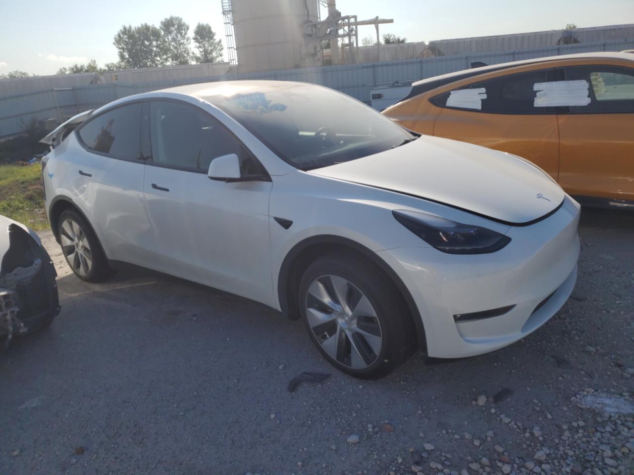 2023 TESLA MODEL Y  VIN:7SAYGDEE7PF803963