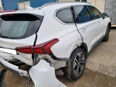 2019 Hyundai Santa FE KMHS381CBKU066794 VIN:KMHS381CBKU066794