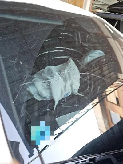 2017 Kia Sportage VIN: