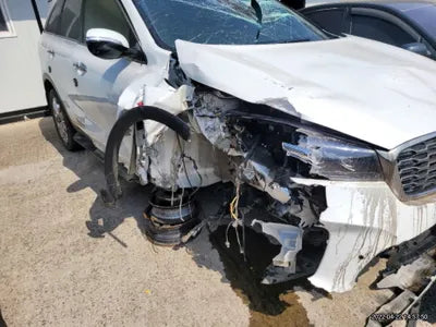 2019 Kia Sorento KNAPH81BBLA564657 VIN:KNAPH81BBLA564657