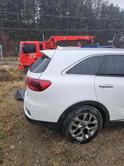 2019 Kia Sorento KNAPH811DLA630874 VIN:KNAPH811DLA630874