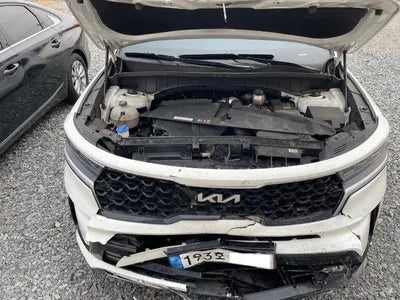 2022 Kia Sorento KNARH81FGPA185808 VIN:KNARH81FGPA185808