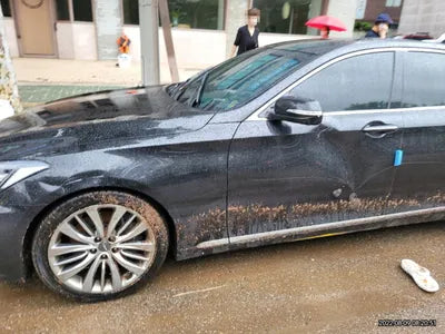 2016 acupuncture nessis 3.3 VIN: