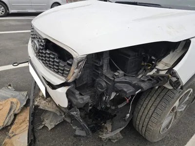 2019 Kia Sorento KNAPG81BDKA540068 VIN:KNAPG81BDKA540068